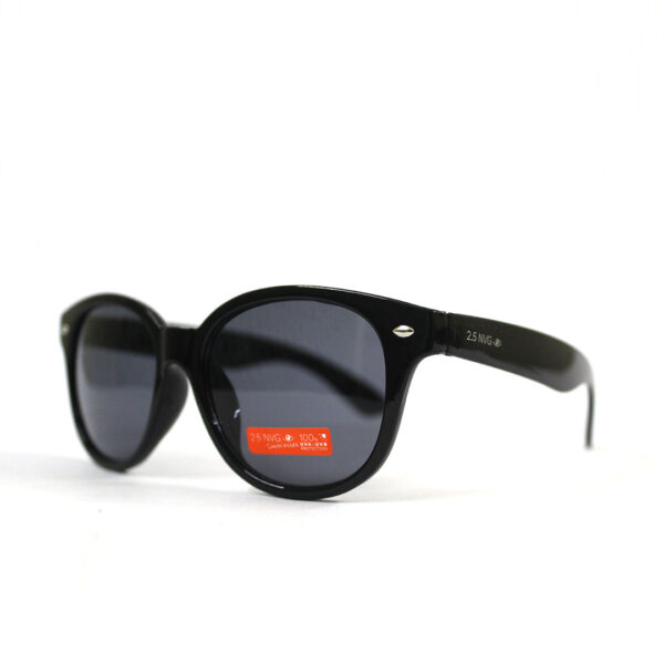 NVG Sunglass Male Plastic SUN31402